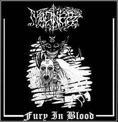 Madness : Fury In Blood